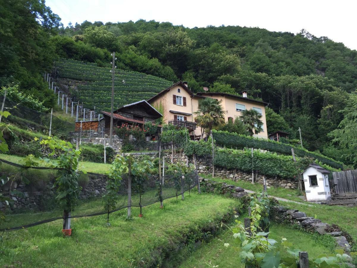 Casa Immersa Nel Vigneto Roveredo Luaran gambar