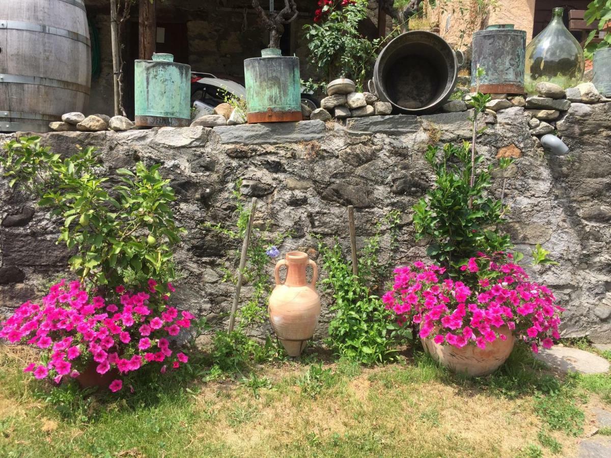 Casa Immersa Nel Vigneto Roveredo Luaran gambar