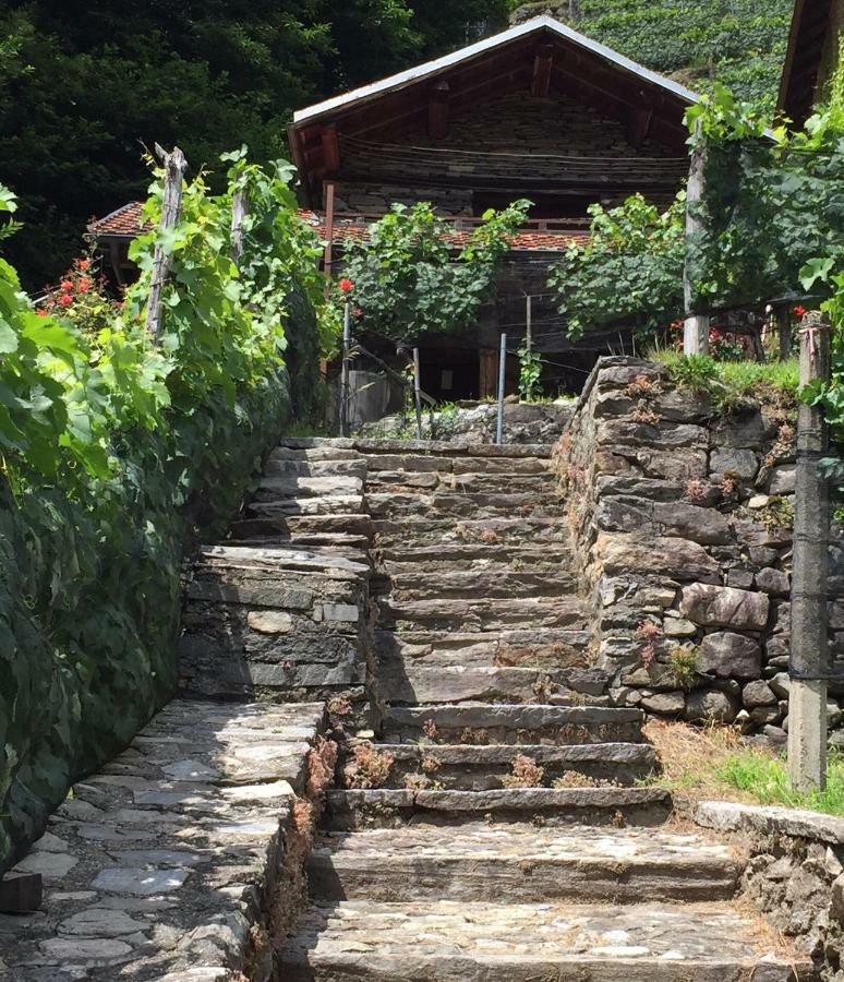 Casa Immersa Nel Vigneto Roveredo Luaran gambar