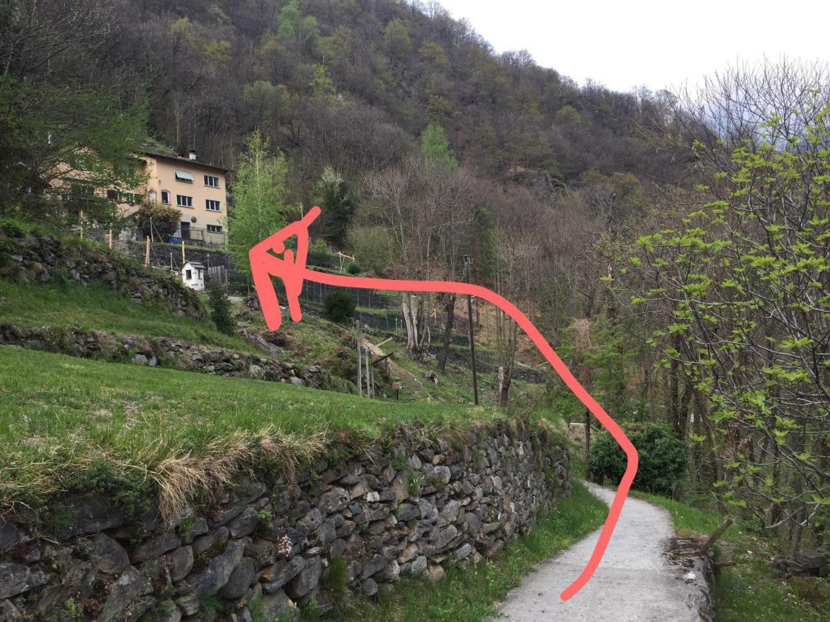 Casa Immersa Nel Vigneto Roveredo Luaran gambar